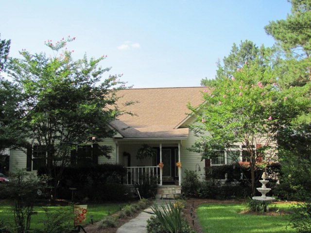 Main View