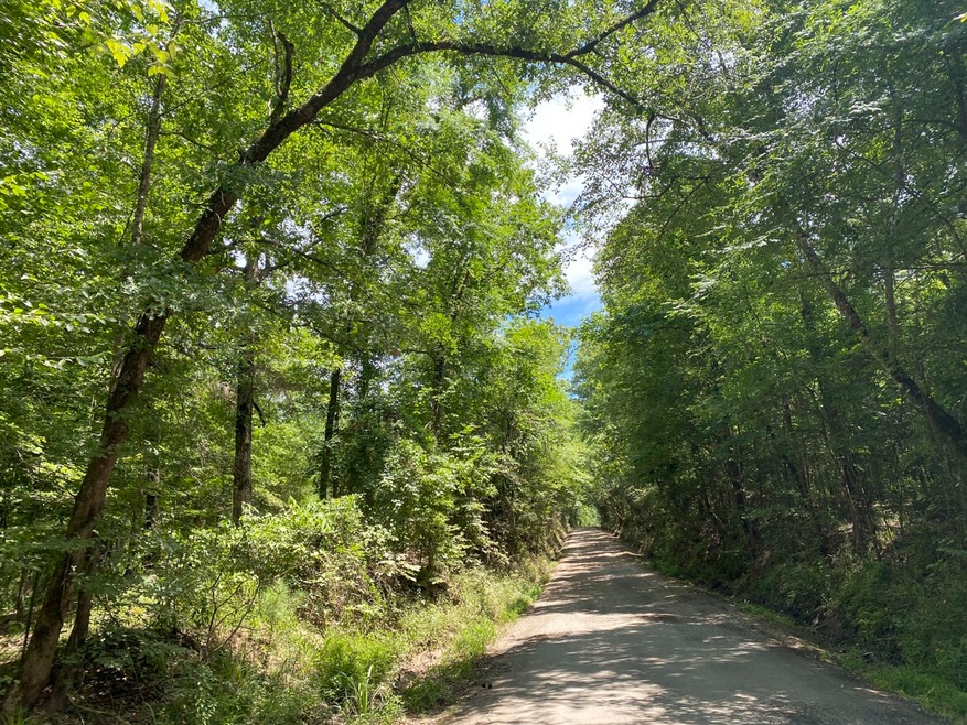 0 Mill Creek Rd unit 7001759, Huntington, TX 75949 - photo 1