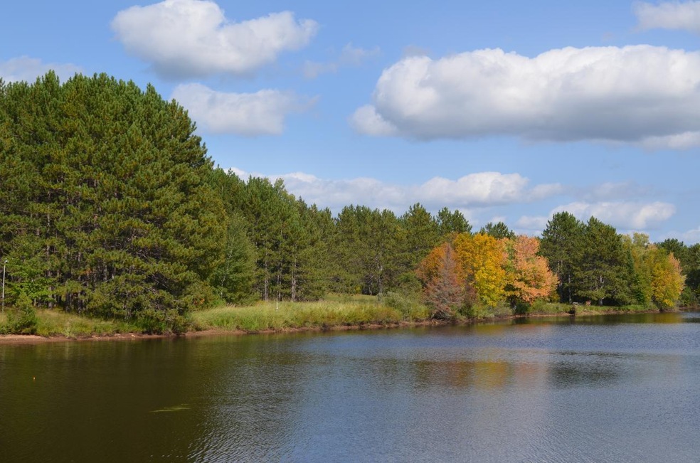Parcel B Walleye Way, Tomahawk, WI 54487 - photo 1