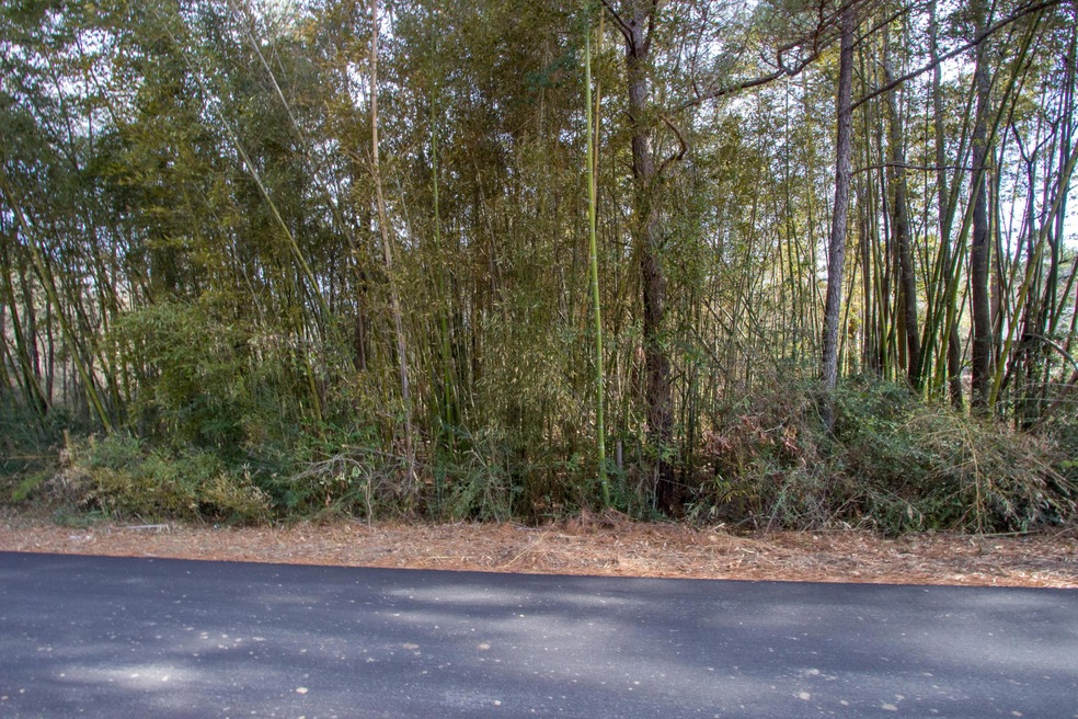 Homes of Hattiesburg (3 of 3) (1)