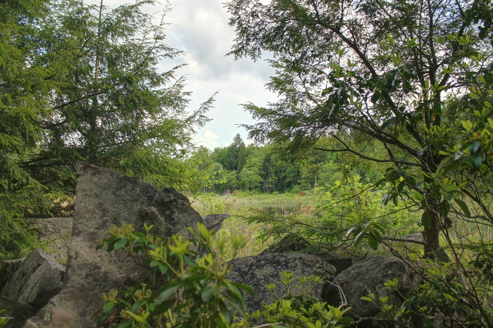 Cushman Brook Marsh
