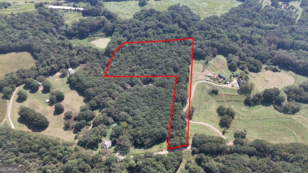 499 Aderhold Rd, Carnesville, GA 30521 - photo 1