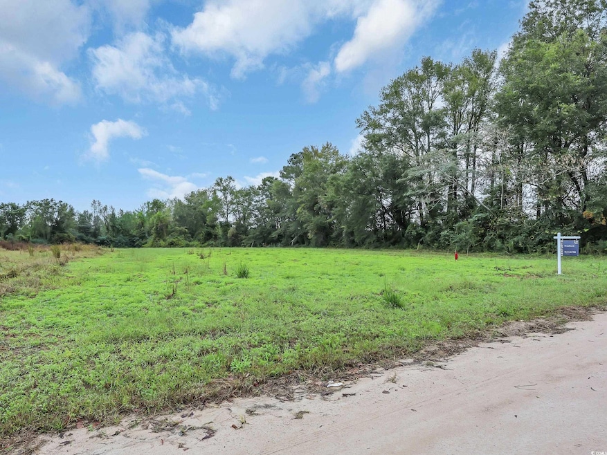 TBD Willow Grove Dr unit Lot 9, Loris, SC 29569 - photo 1