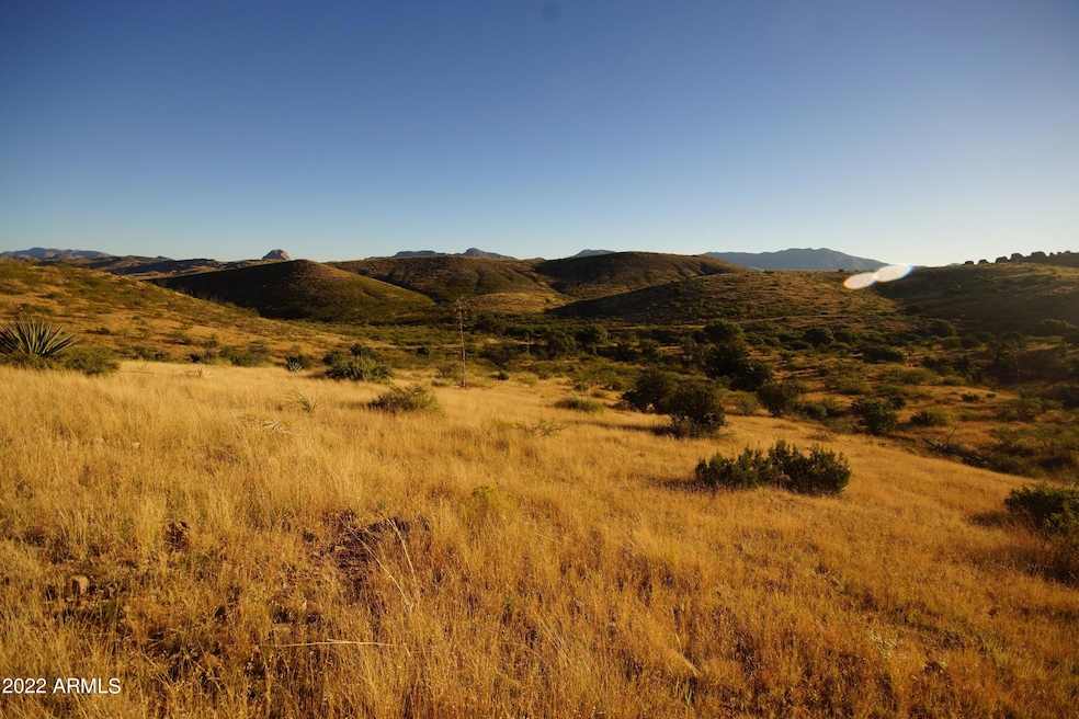 Lot 44 N Hidden Oaks Trail 38 7 Acres -- unit 44, Douglas, AZ 85607 - photo 1