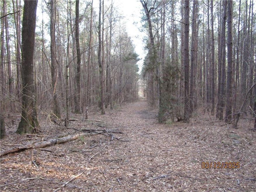 0 Obie Smith Rd unit 2491301, Atlanta, LA 71404 - photo 1