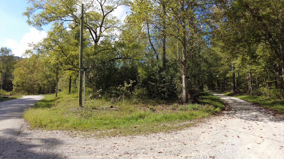 Property 2 Patterson Creek