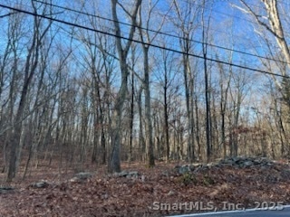 549 Cutler's Farm Rd, Monroe, CT 06468 - photo 1