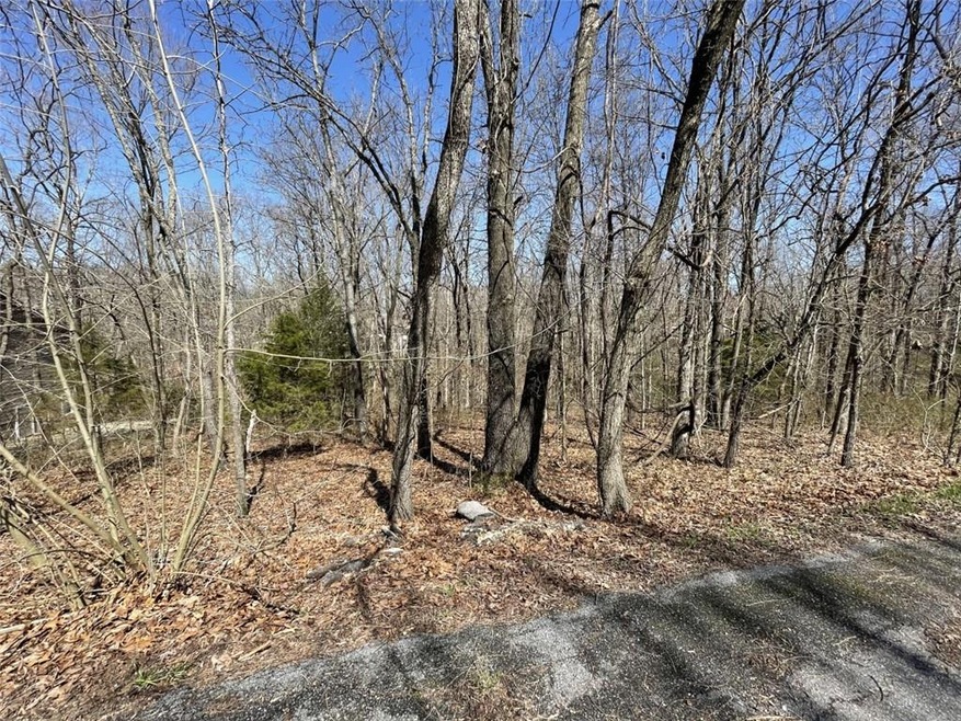 -- Singleton Dr, Bella Vista, AR 72715 - photo 1