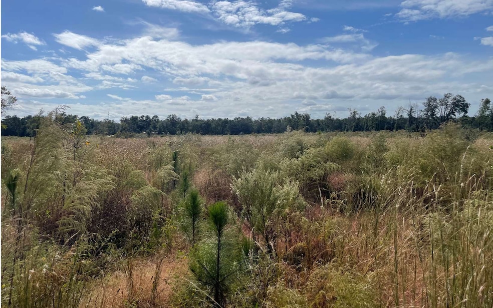 TBD Hawaca Dr, McAlpin, FL 32062 - photo 1