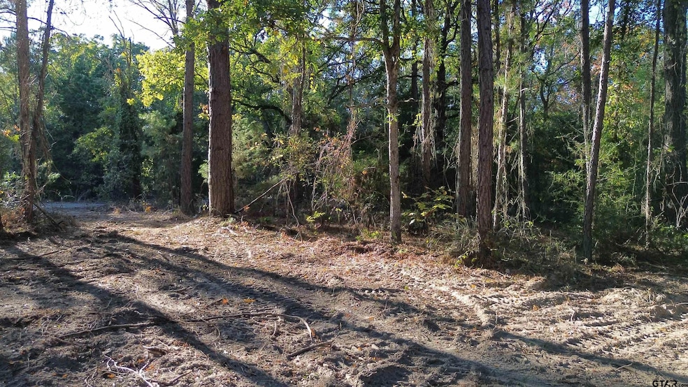 000 County Road 4330, Larue, TX 75770 - photo 1