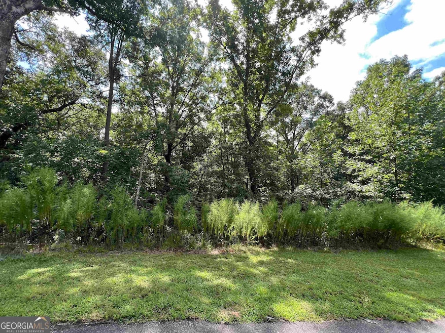 0 Northshore Dr unit 10640788, Cleveland, GA 30528 - photo 1