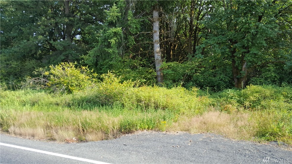 301 W Avery Rd, Winlock, WA 98596 - photo 1