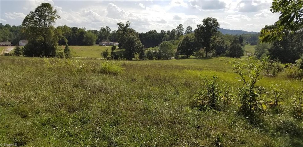 00 Purlear Rd, Purlear, NC 28665 - photo 1