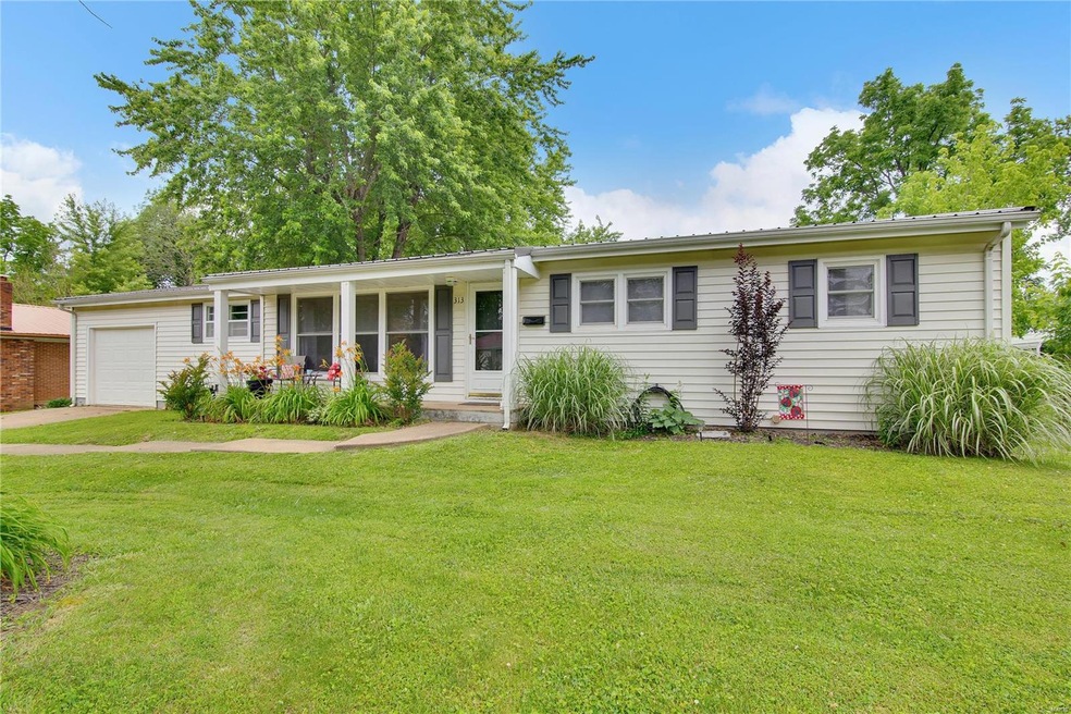 313 Aldergate St, Farmington, MO 63640 - photo 1