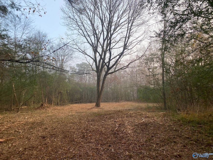 4+/- Acres Mount Carmel Dr, Guntersville, AL 35976 - photo 1