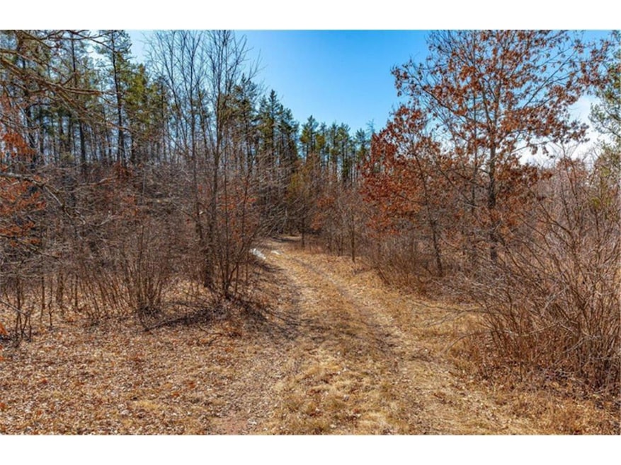 xxx Parcel A Tranus Tranus Lake Rd, Stinnett, WI 54875 - photo 1