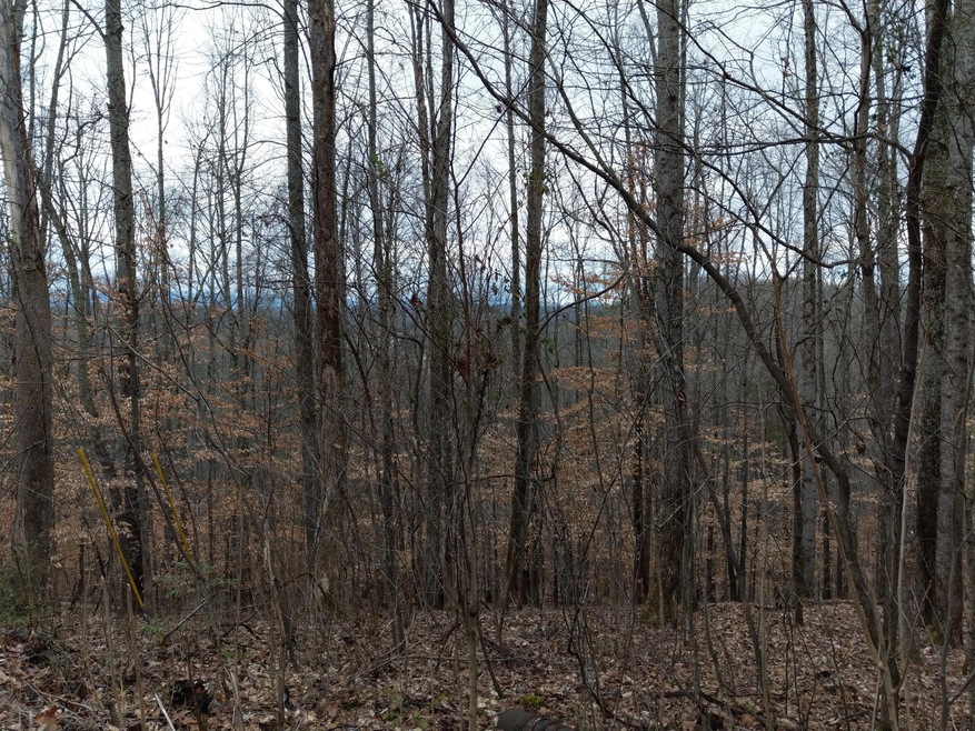 2708 W Gallaher Ferry Rd, Knoxville, TN 37932 - photo 1