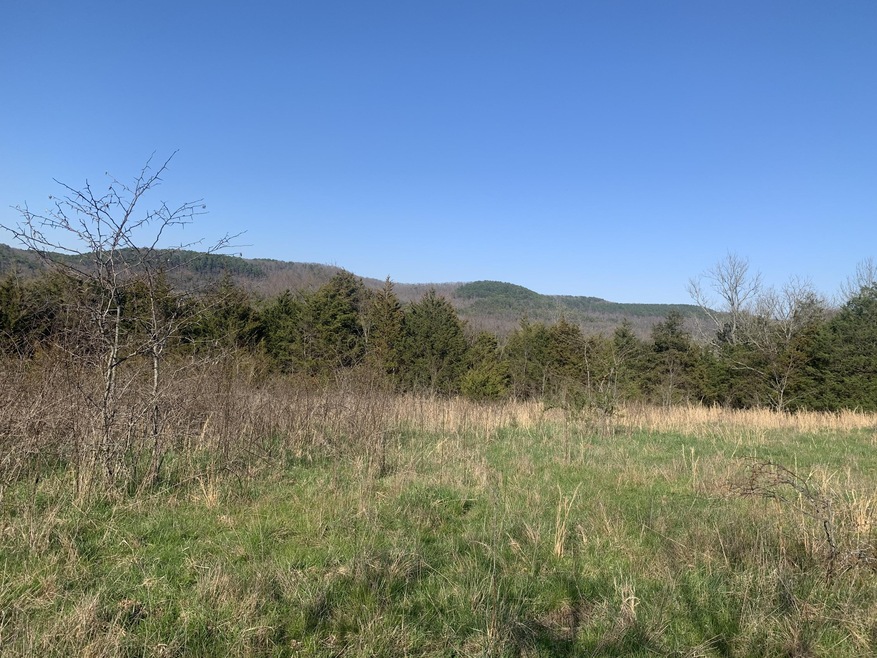 Tbd Scenic Valley, Shell Knob, MO 65747 - photo 1