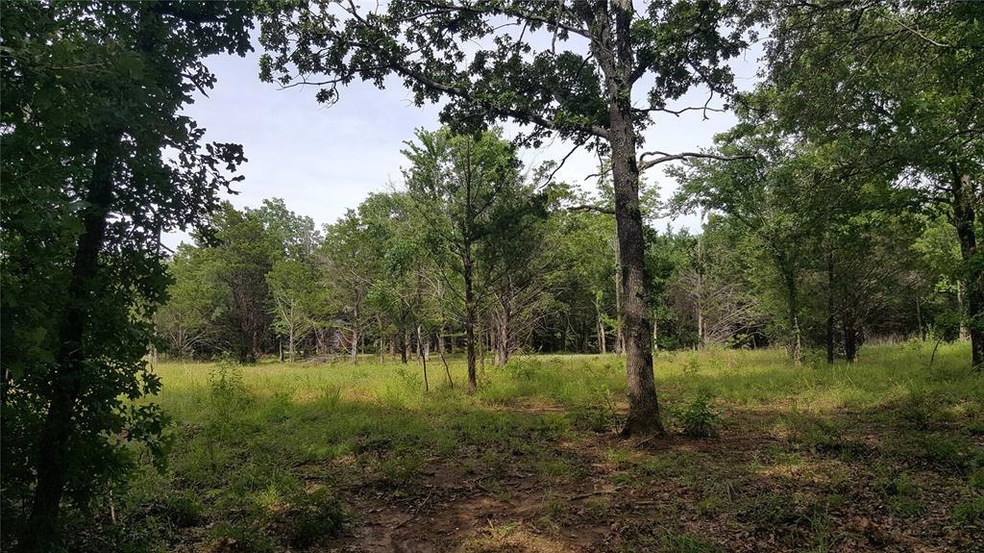 Lot 85 Riner Rd, Pottsboro, TX 75076 - photo 1