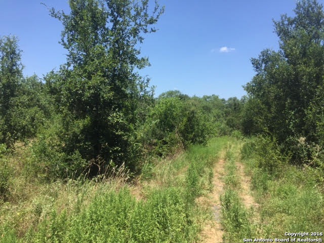 15295 (LOT 25) Flying Cir, Helotes, TX 78023 - photo 1