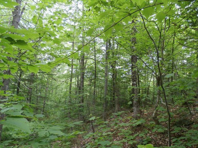 002 Lake Rd, Wilton, ME 04234 - photo 1