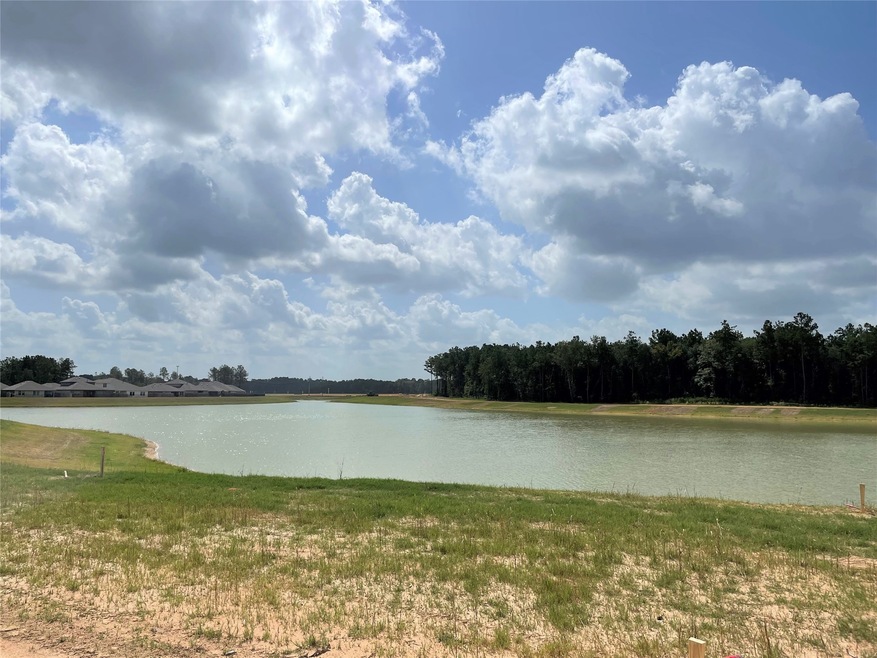 16620 Lonely Pines Dr, Conroe, TX 77302 - photo 1