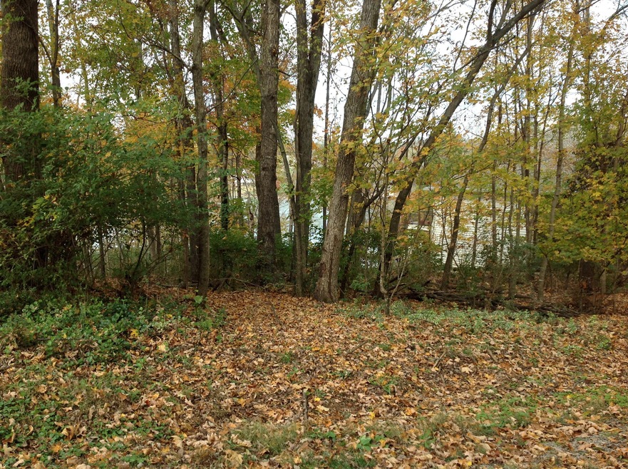 147 Inagehi Way, Loudon, TN 37774 - photo 1