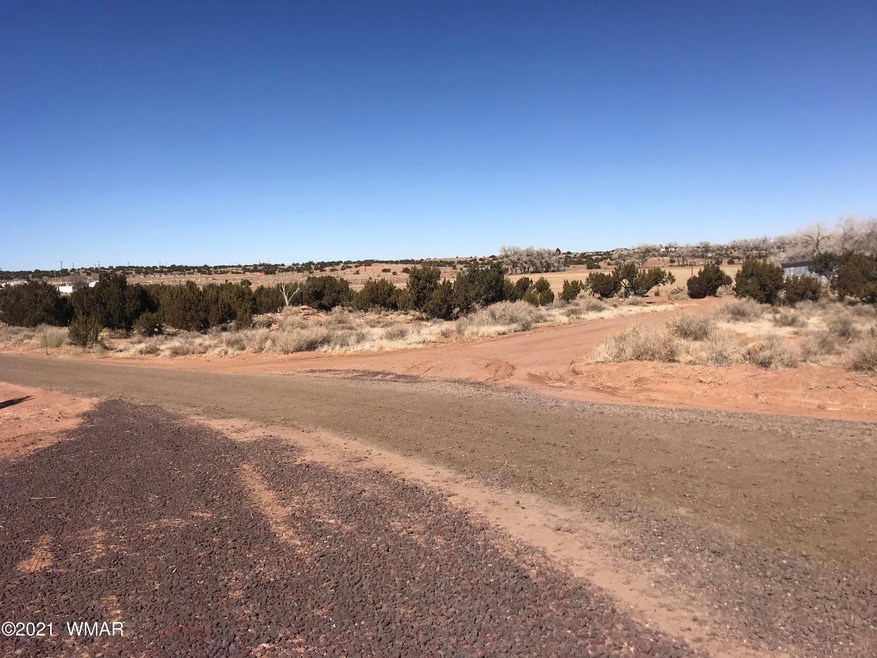 .95 acre lot