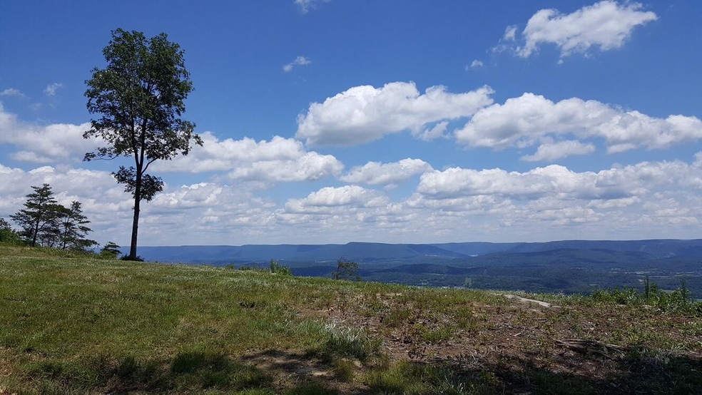 0 Hovering Hawk Dr unit RTC2912800, Jasper, TN 37347 - photo 1