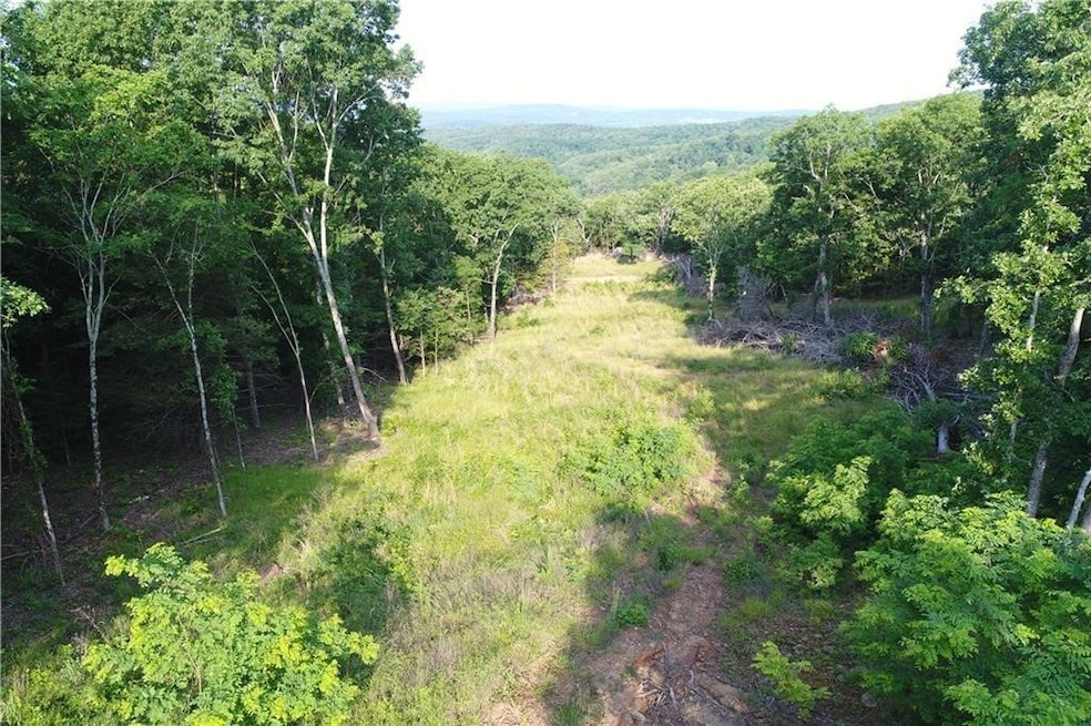 Tract A Madison Cr 6021, Elkins, AR 72727 - photo 1