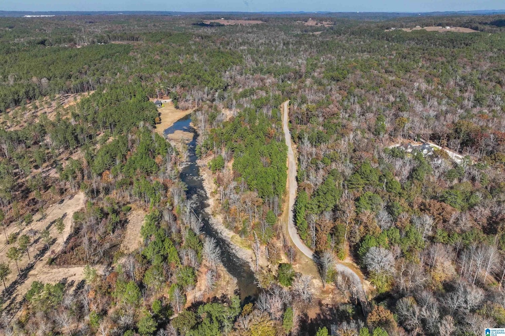 8799 Shades Fall Way, Bessemer, AL 35022 - photo 1