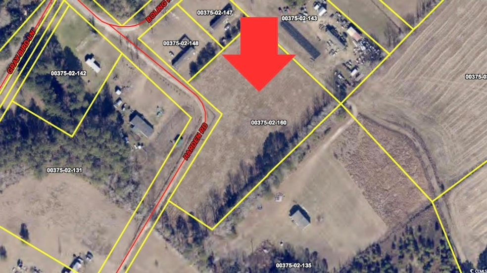 TBD Harden Rd, Pamplico, SC 29583 - photo 1