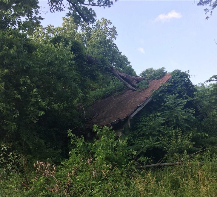 300 E Jefferson St, Edwardsport, IN 47528 - photo 1