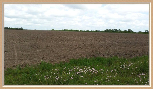 00 Bucks Bayou Rd, Bay City, TX 77414 - photo 1