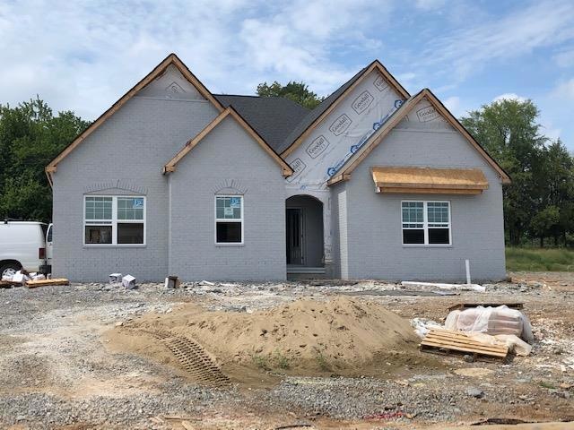 Stage of construction as of 8/30/19.  Painted brick in 