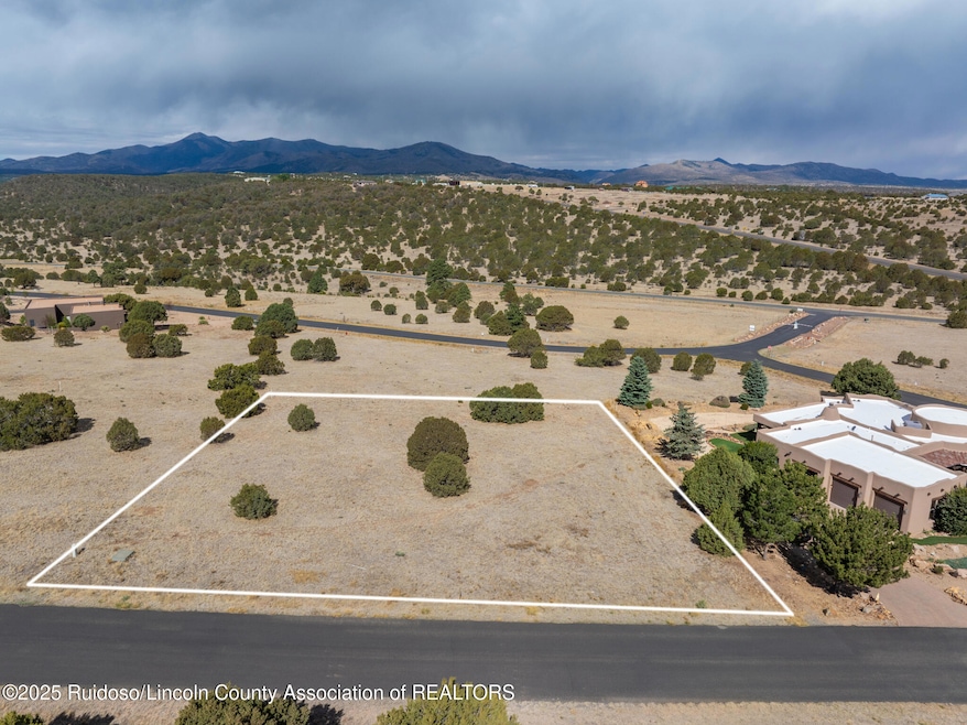 DJI_20250517093555_0734_D