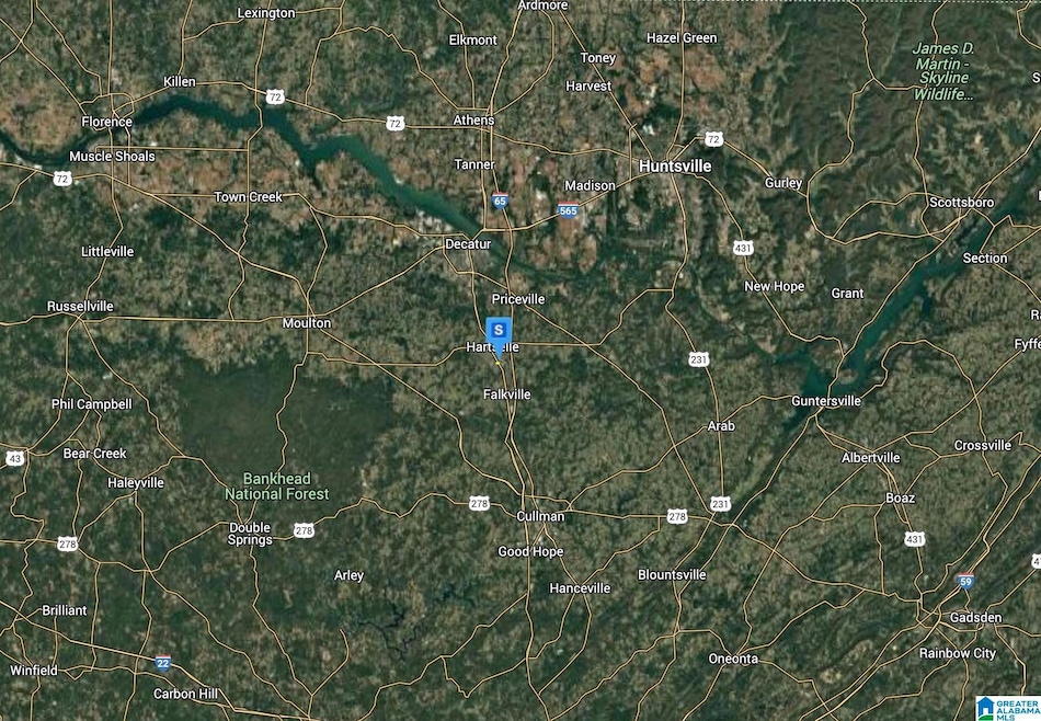 2655 Highway 31 SW, Hartselle, AL 35640 - photo 1