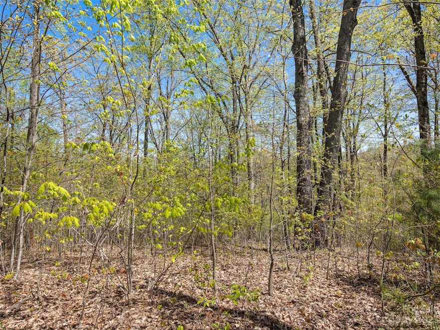 63 Chimney Crest Dr, Asheville, NC 28806 - photo 1