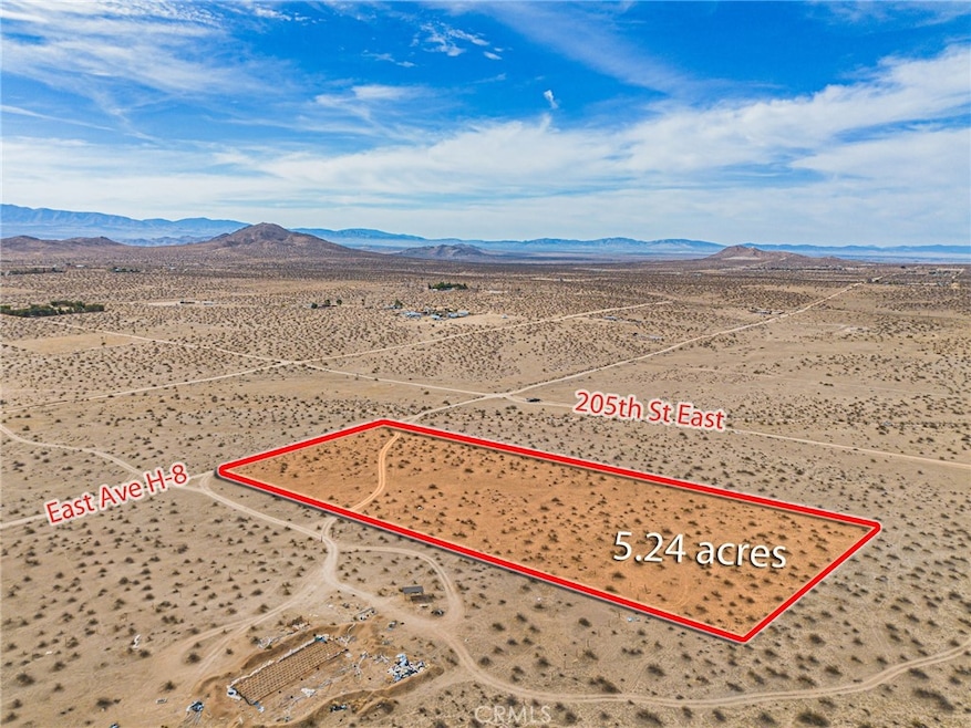 20554 E Avenue H 8, Hi Vista, CA 93535 - photo 1