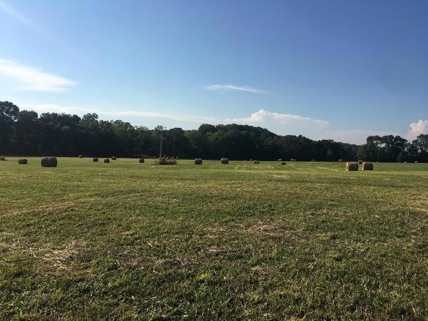 Lot 1&2 Thompson Place Ln, Cookeville, TN 38506 - photo 1