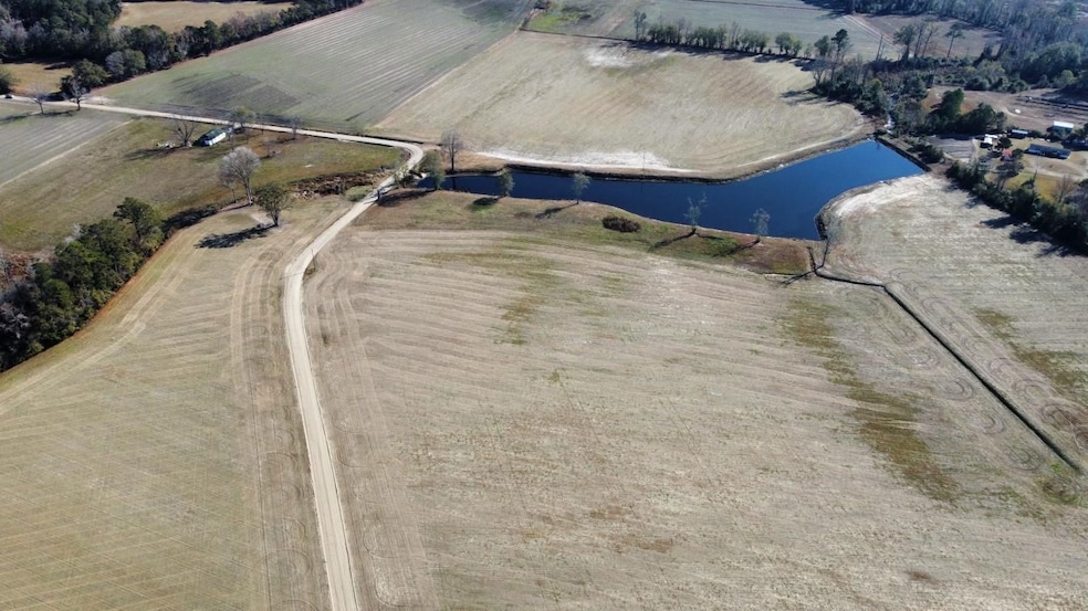 46.89 Ac Tbd Beth Ln, Nichols, SC 29581 - photo 1