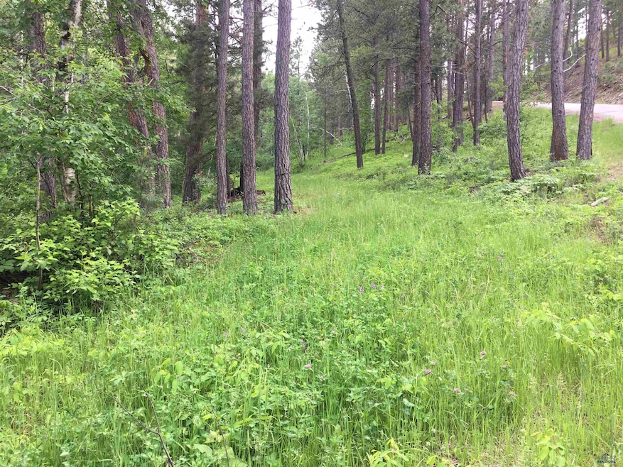 0 Danube Ln, West Pennington, SD 57702 - photo 1