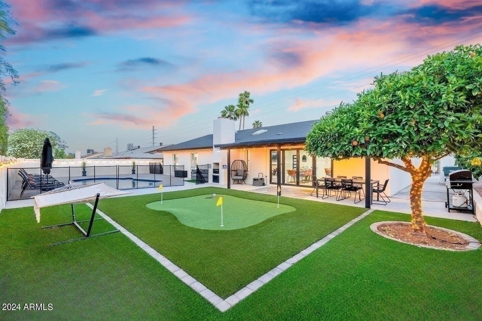 Backyard Fun