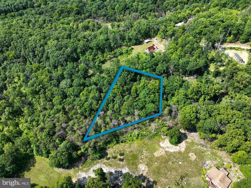 0 Hidden Rd unit VAPA2004990, Luray, VA 22835 - photo 1