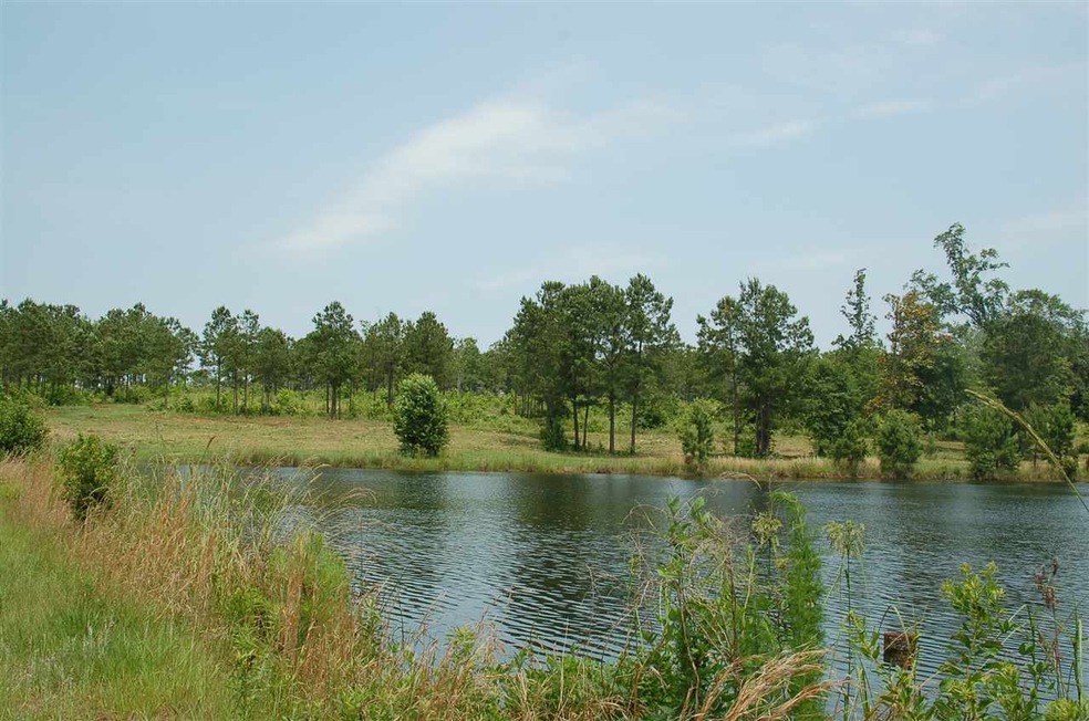 0 Bond Rd unit ACREAGE 281563, Cairo, GA 39828 - photo 1