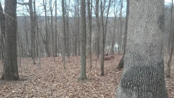 0 Grand Valley Rd, Brown Township, OH 43028 - photo 1