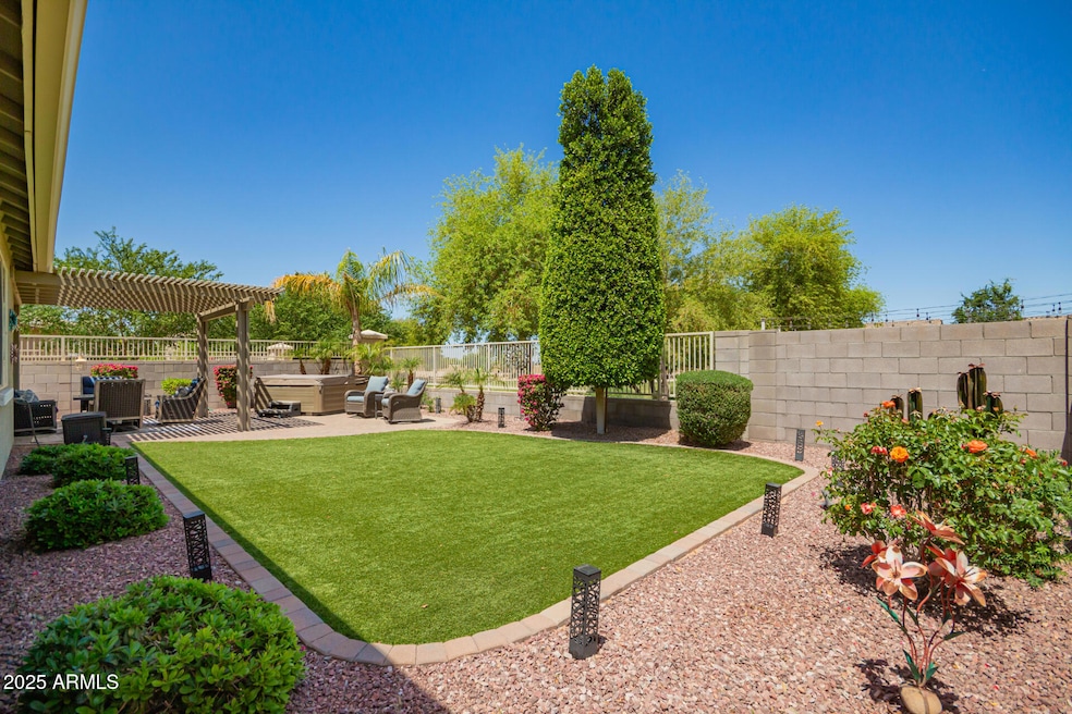 Beautifully Maintained Back Yard