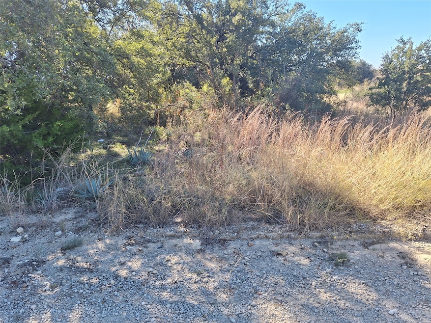 0 Lovers Ln, Lake Brownwood, TX 76801 - photo 1