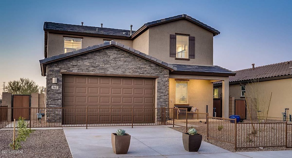 Model pic of Desert Willow