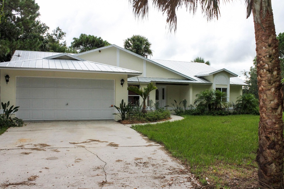 5490 Fan Palm